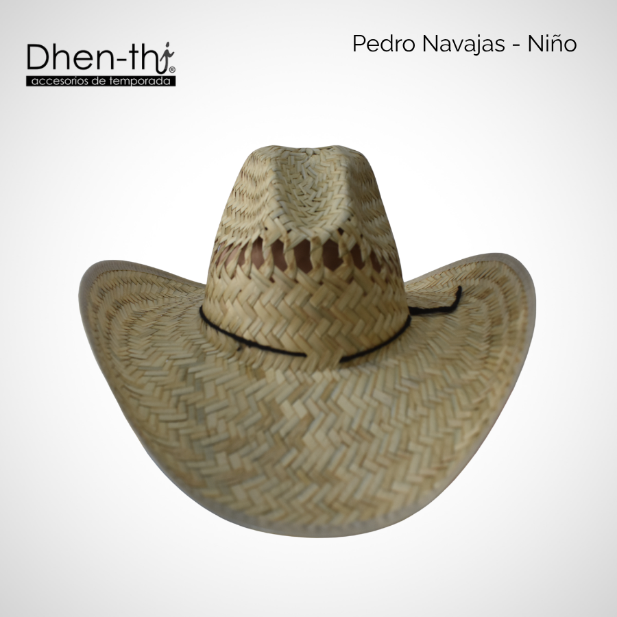Pedro Navajas Niño