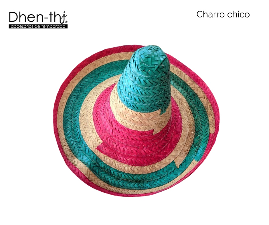 Sombrero Patrio Chico 🇲🇽