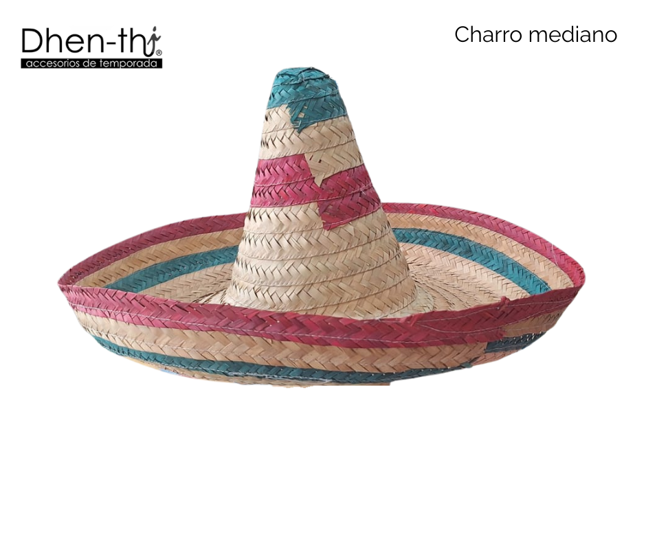 Sombrero Patrio Mediano 🇲🇽